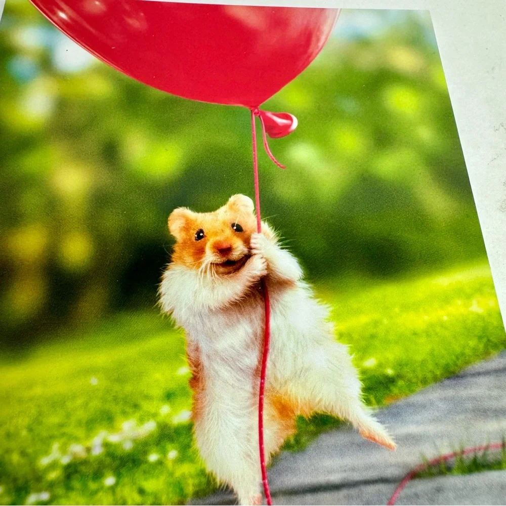 6 Avanti Greeting cards- hamster gerbil red balloon Holiday: Valentines Day